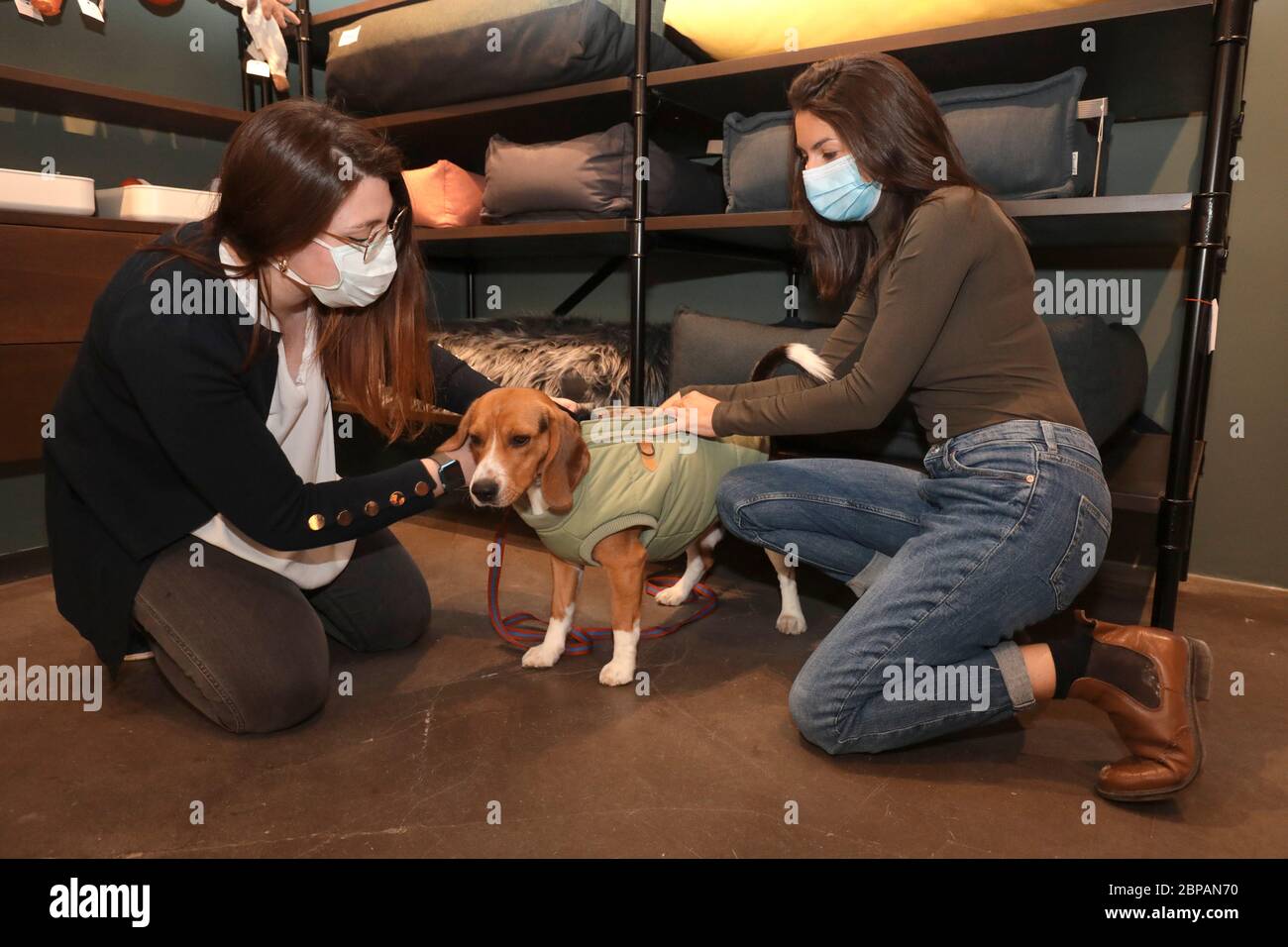KLEP' S BOUTIQUE PER CANI Foto Stock