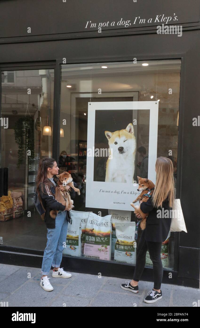 KLEP' S BOUTIQUE PER CANI Foto Stock