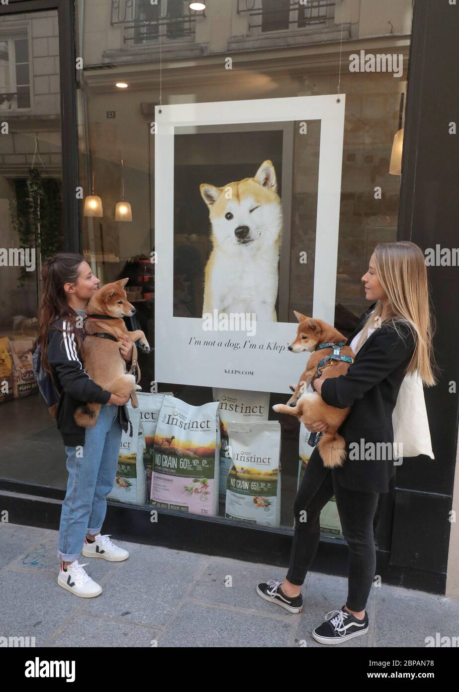 KLEP' S BOUTIQUE PER CANI Foto Stock