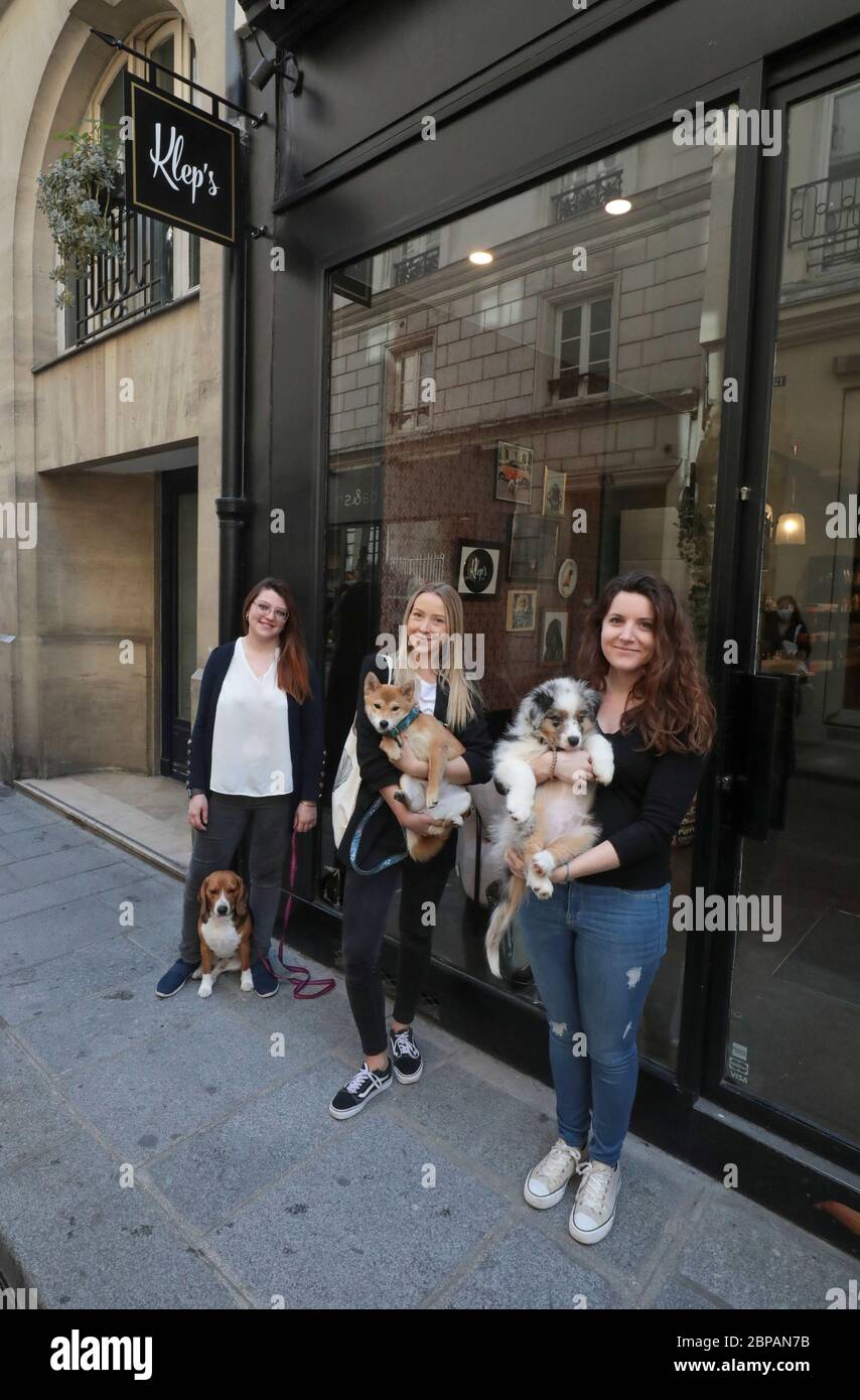 KLEP' S BOUTIQUE PER CANI Foto Stock