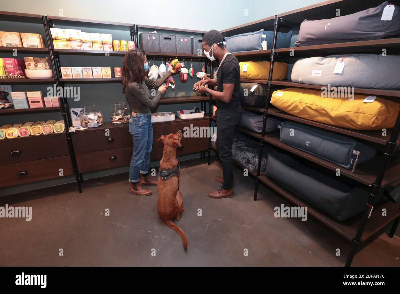 KLEP' S BOUTIQUE PER CANI Foto Stock