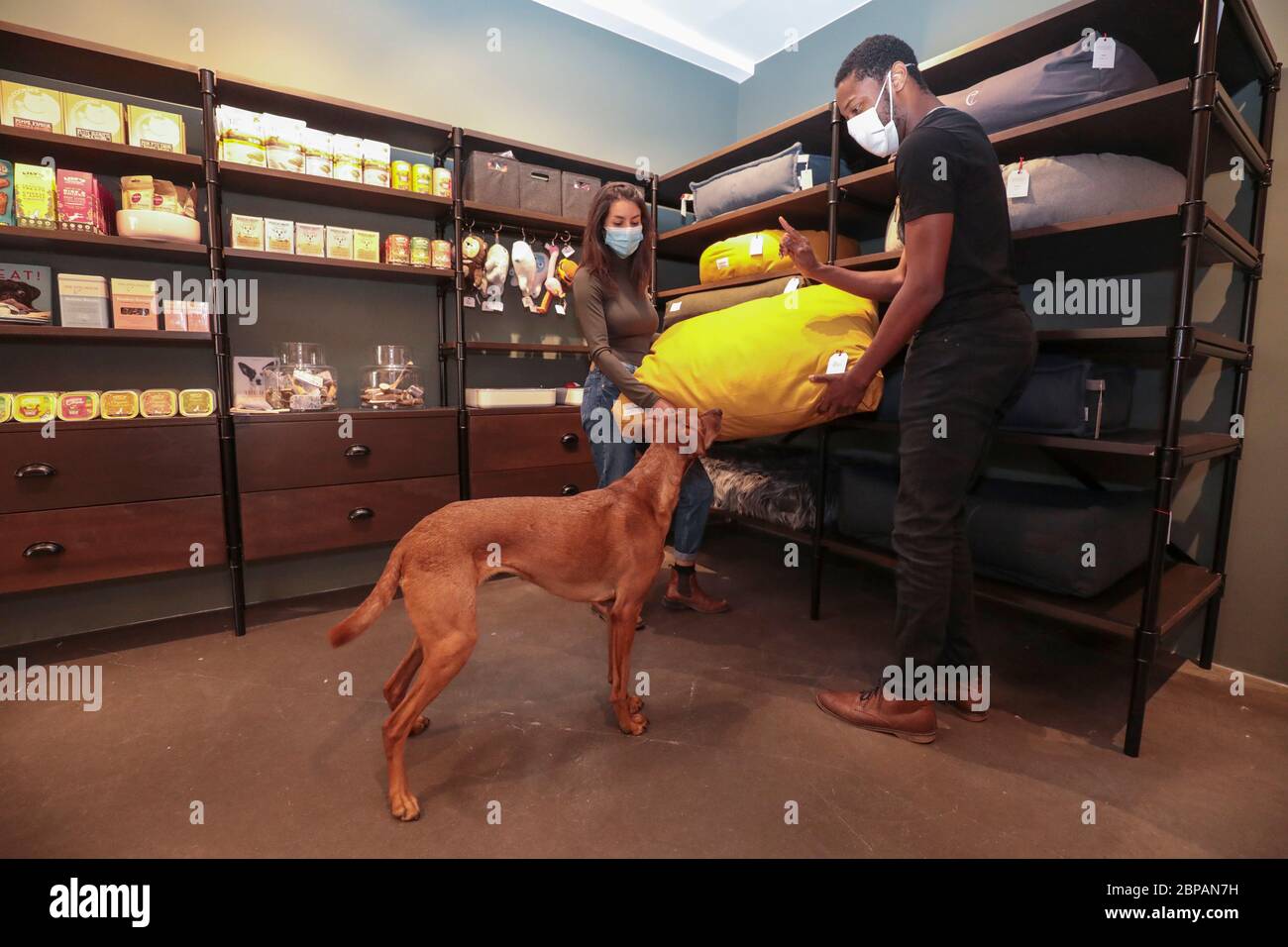 KLEP' S BOUTIQUE PER CANI Foto Stock