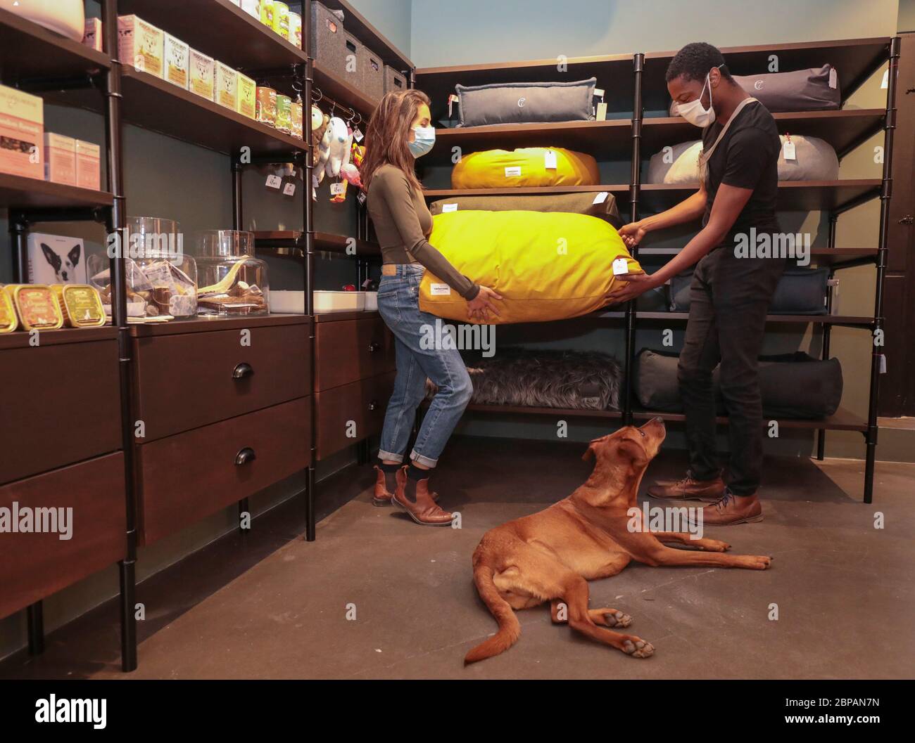 KLEP' S BOUTIQUE PER CANI Foto Stock