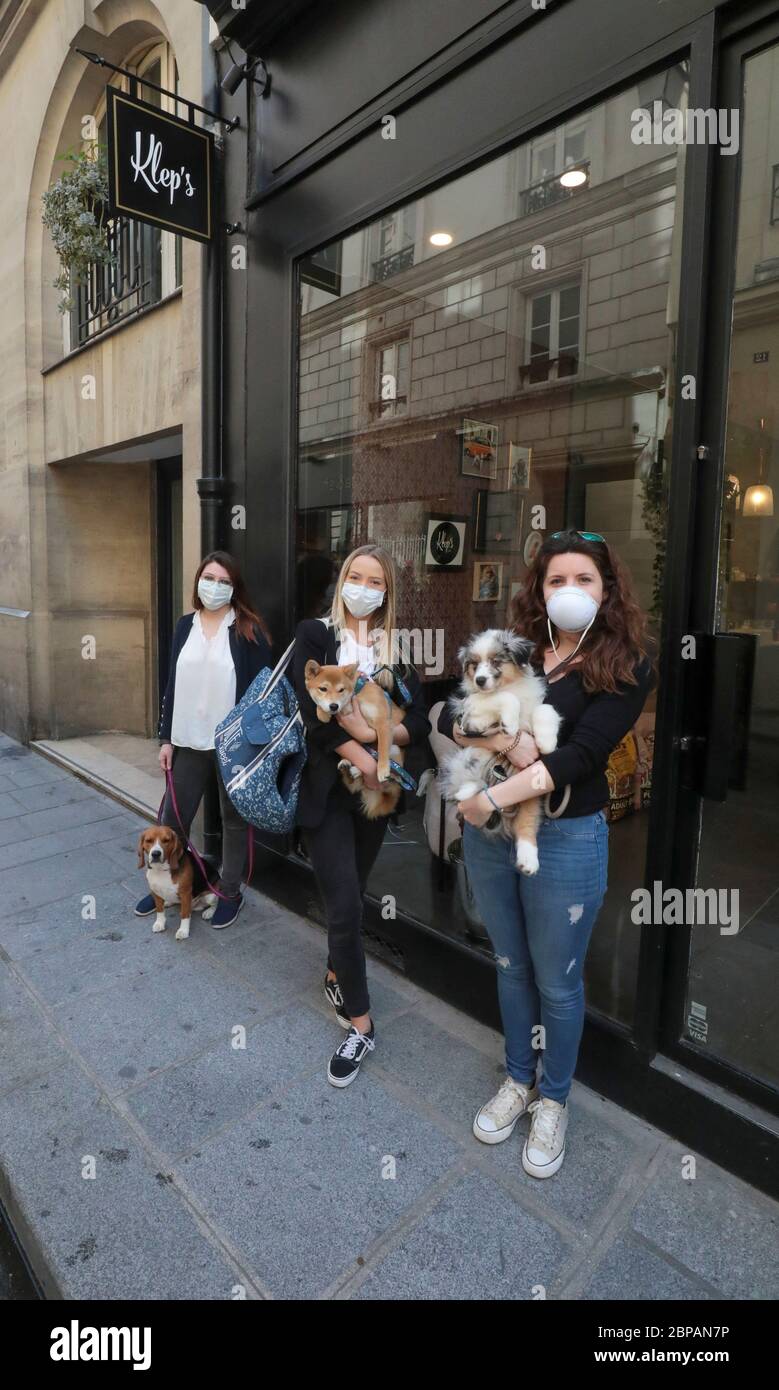 KLEP' S BOUTIQUE PER CANI Foto Stock