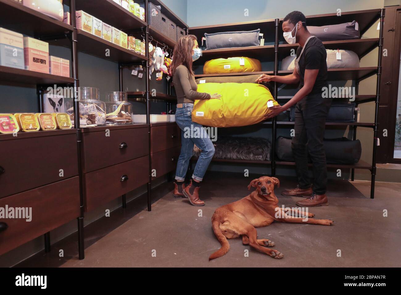 KLEP' S BOUTIQUE PER CANI Foto Stock