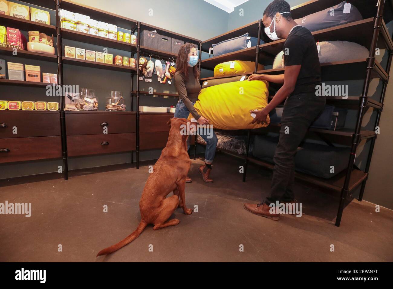 KLEP' S BOUTIQUE PER CANI Foto Stock