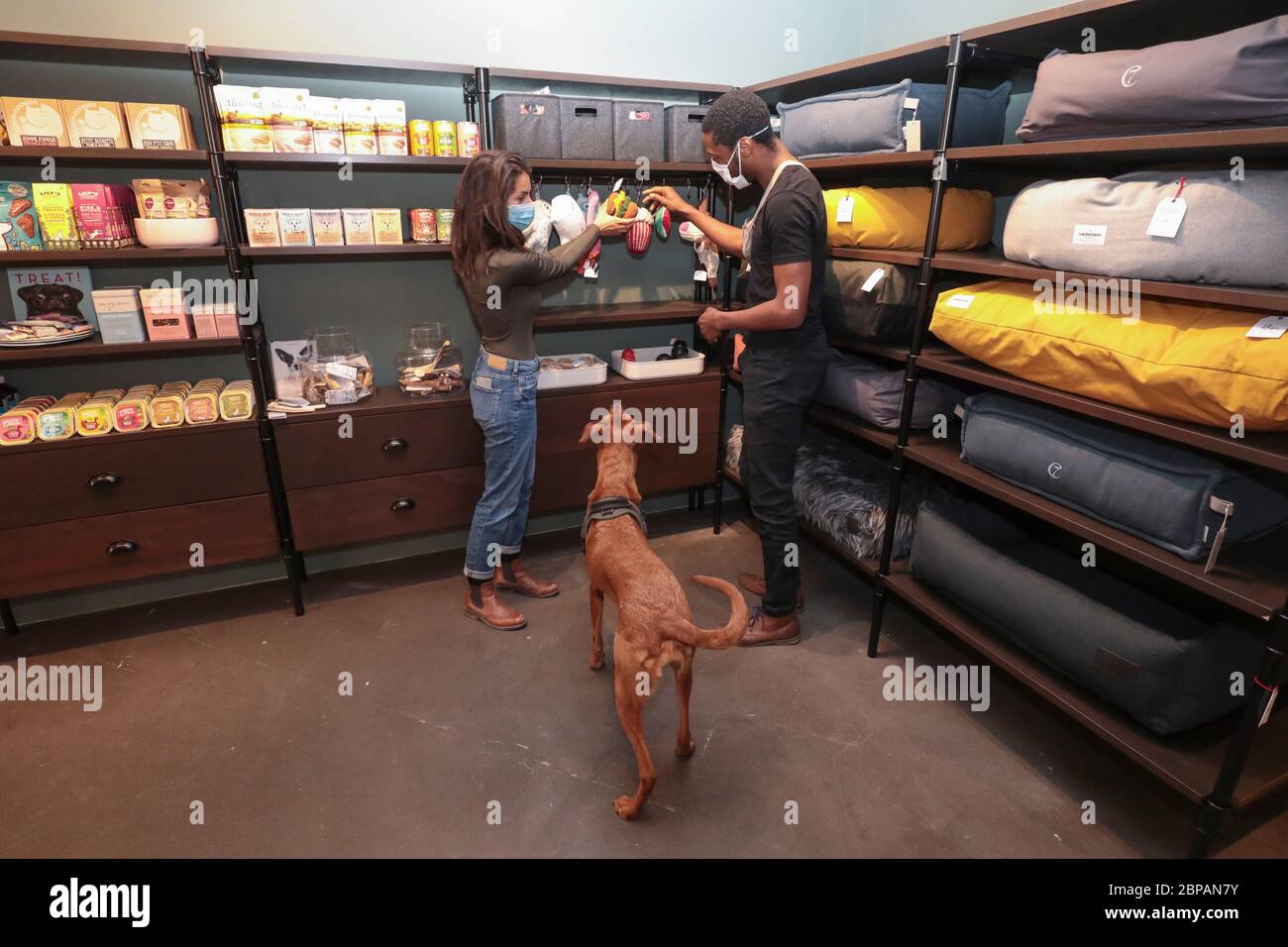 KLEP' S BOUTIQUE PER CANI Foto Stock