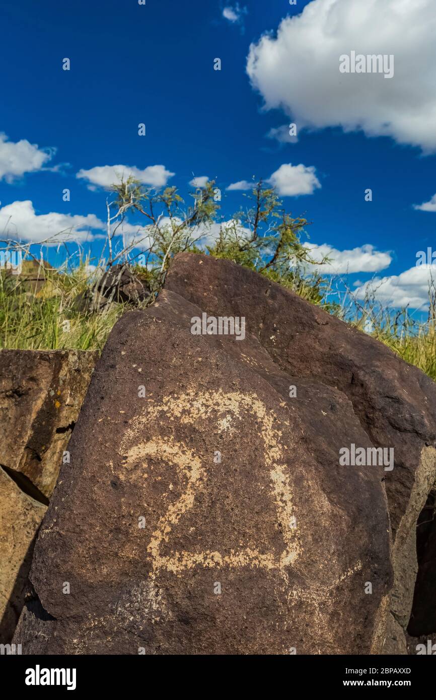 Arte rupestre raffigurante un'aquila creata molto tempo fa dal popolo Jornada Mogollon al sito di Petroglyph Three Rivers nel nord del deserto del Chihuahuan, New Mexico, Foto Stock