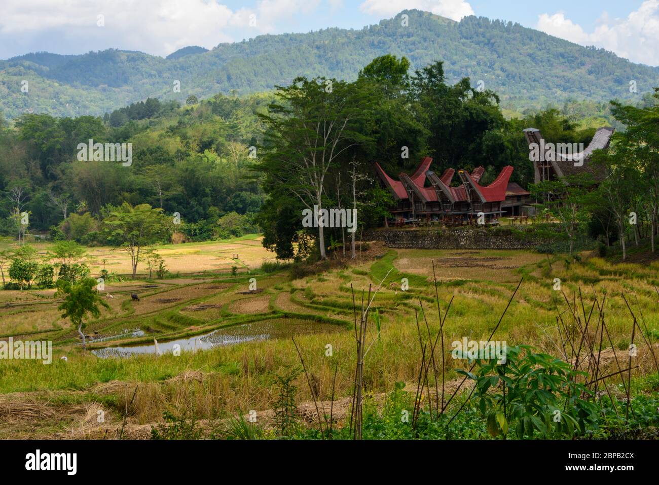 Paesaggio in Tana Toraja, Sulawesi, Indonesia. Foto Stock