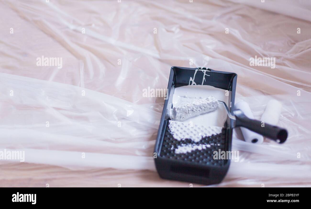 Piccolo rullo di vernice con vernice fresca sul rullo giace sulla lamina del pittore in un vassoio antigoccia Artigianato farlo da soli Foto Stock