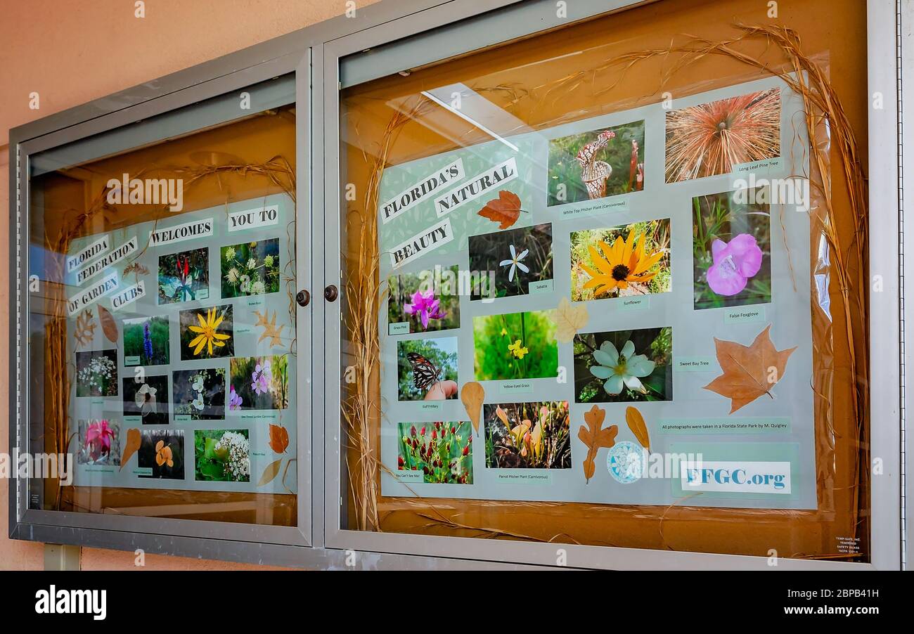 Una mostra educativa al Centro di accoglienza della Florida fornisce ai turisti informazioni sulle piante autoctone che possono incontrare mentre si trovano nello stato. Foto Stock