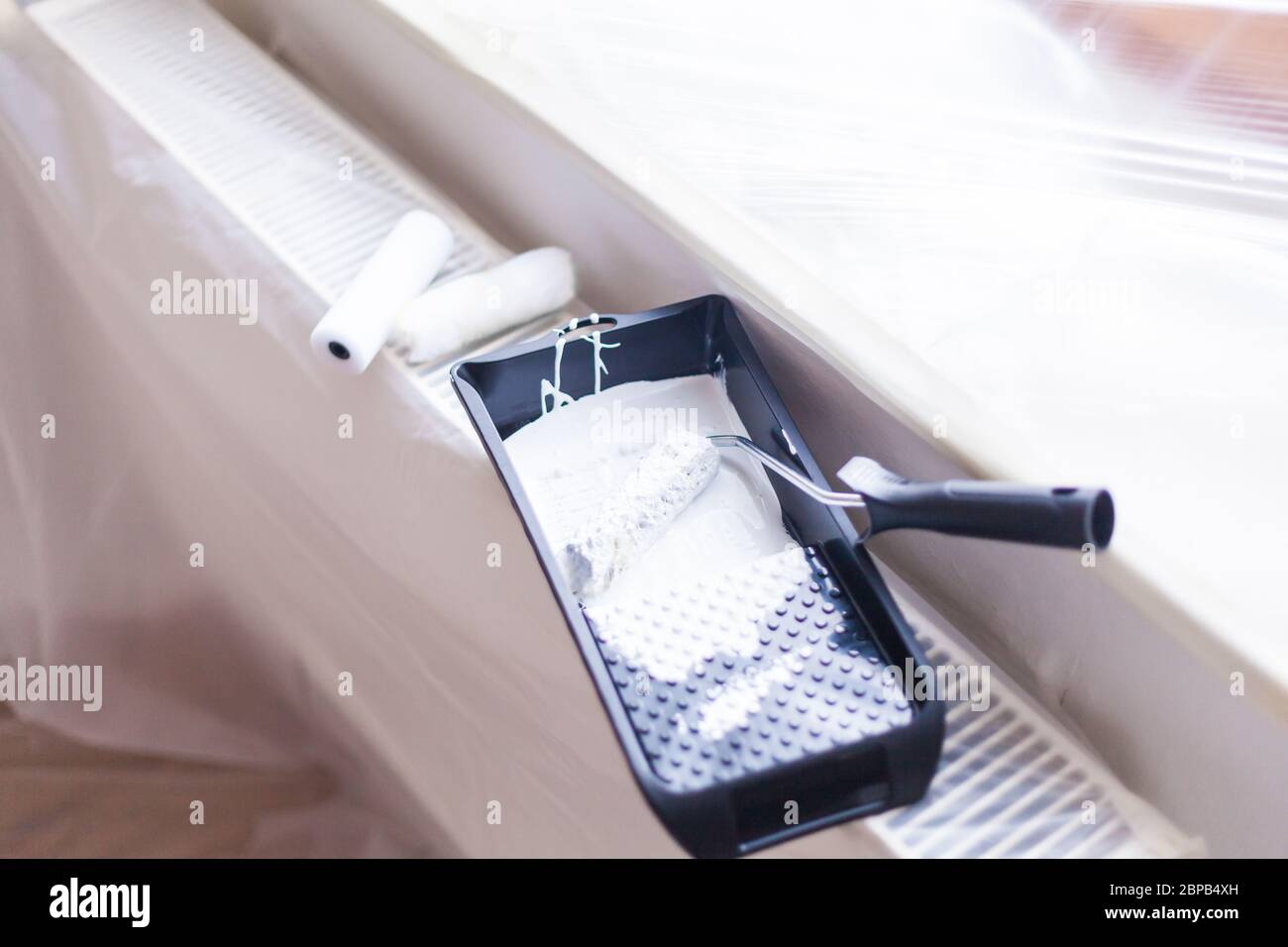 Piccolo rullo di vernice con vernice fresca sul rullo su foglio di pittore in un vassoio antigoccia Artigianato fai da te ristrutturazione Foto Stock