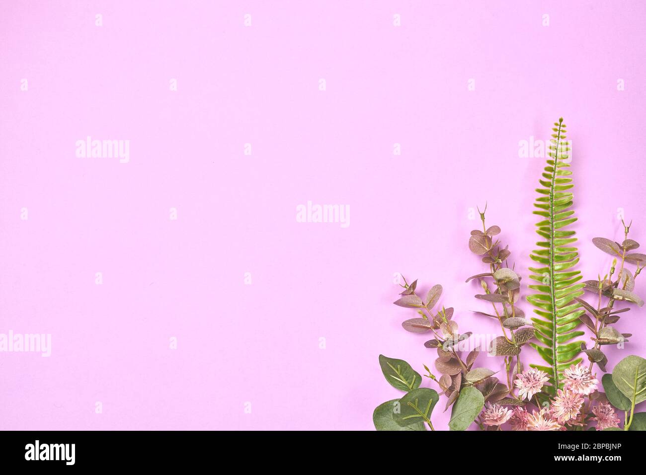 Creativa disposizione minima di foglie su sfondo viola. Disposizione piatta Foto Stock