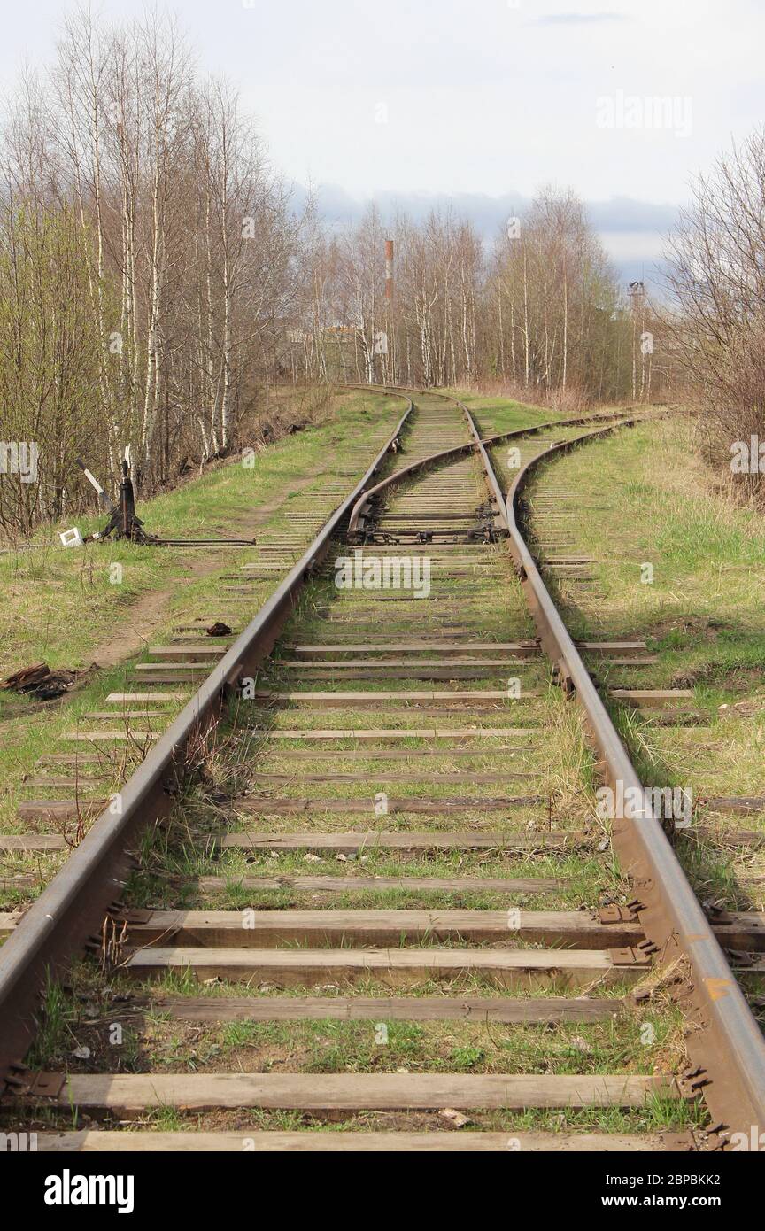 La ferrovia si estende in lontananza sullo sfondo di giovani verdi erba e alberi in primavera. Foto Stock