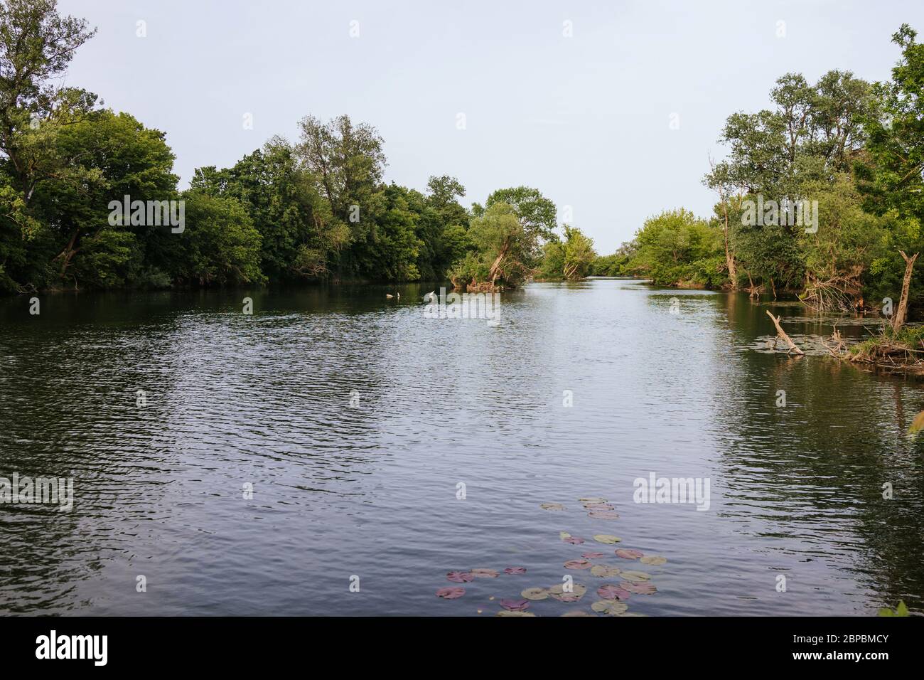 Fiume Korana a Karlovac, Croazia Foto Stock