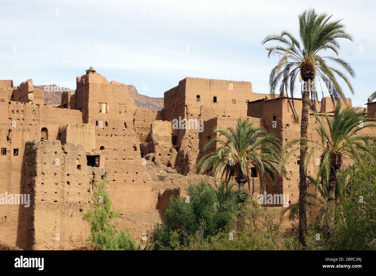 Il tradizionale villaggio di Tamnougalt, costruito nel fango, in un'oasi ricoperta di palme nella valle del Draa, nel sud del Marocco Foto Stock