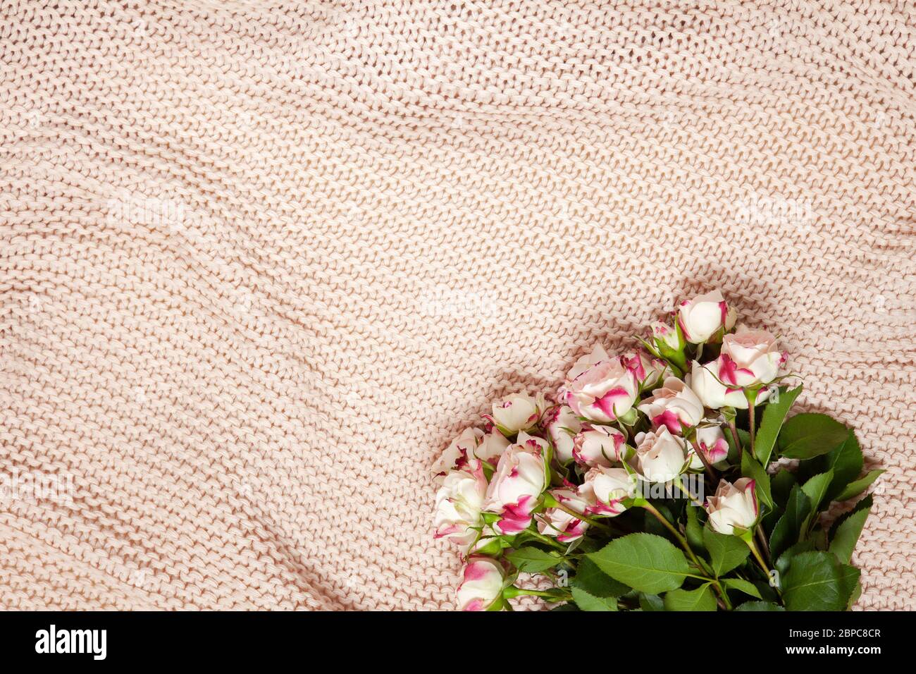 Bouquet di rose piccole su coperta rosa polverosa. Disposizione piatta. Vista dall'alto. Orizzontale, spazio di copia. 8 marzo, 14 febbraio, San Valentino, Madre, Festa della Donna Foto Stock