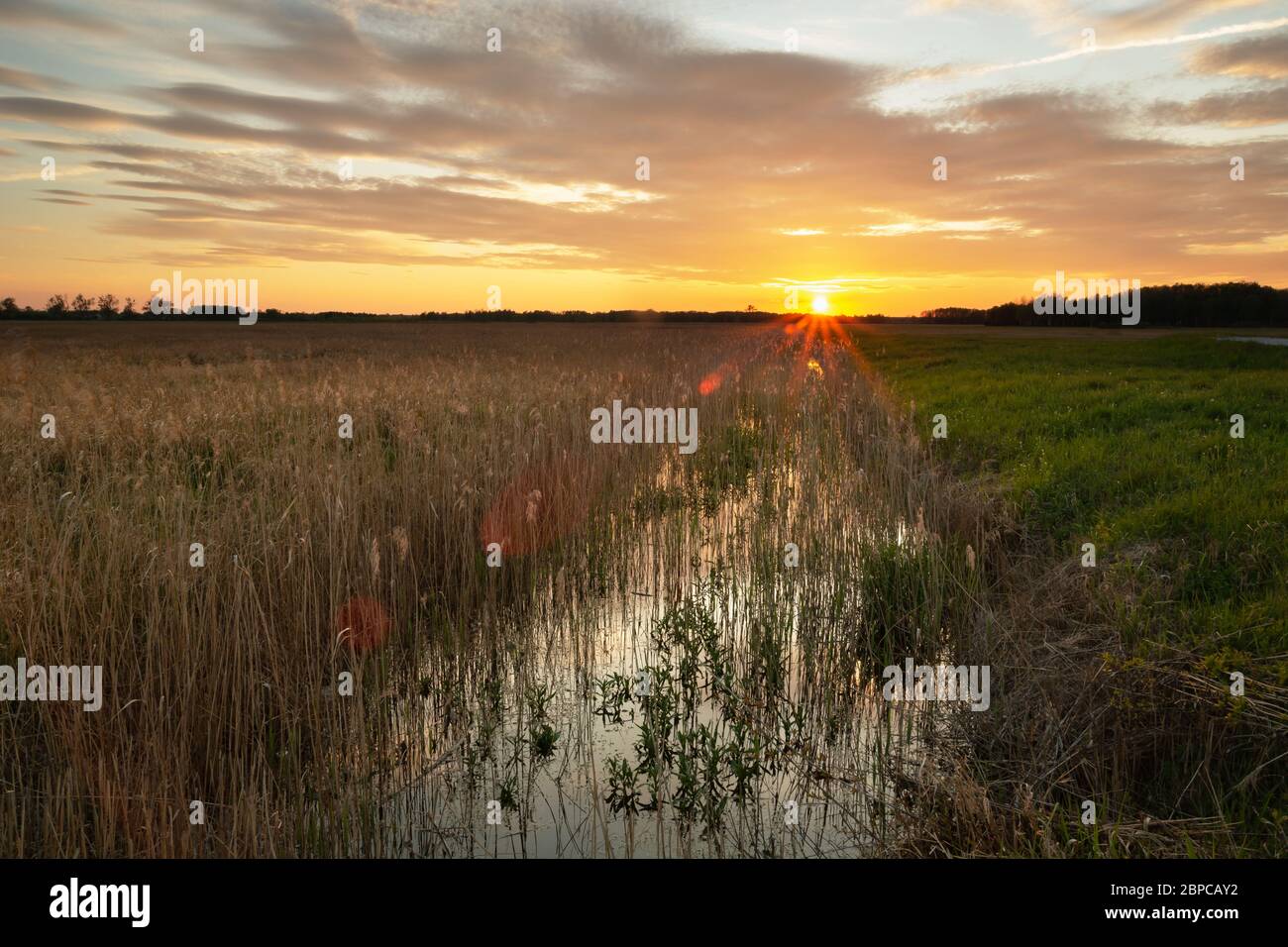 Splendido tramonto e canale d'acqua con erbe, nuvole serali sul cielo, vista primavera Foto Stock