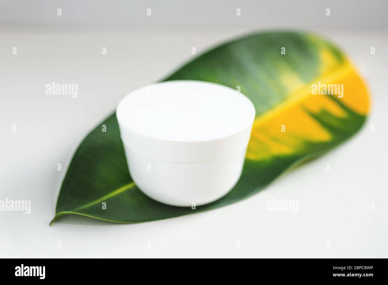 Bianco mock up crema si erge su una foglia verde. Su sfondo bianco. Concetto Foto Stock
