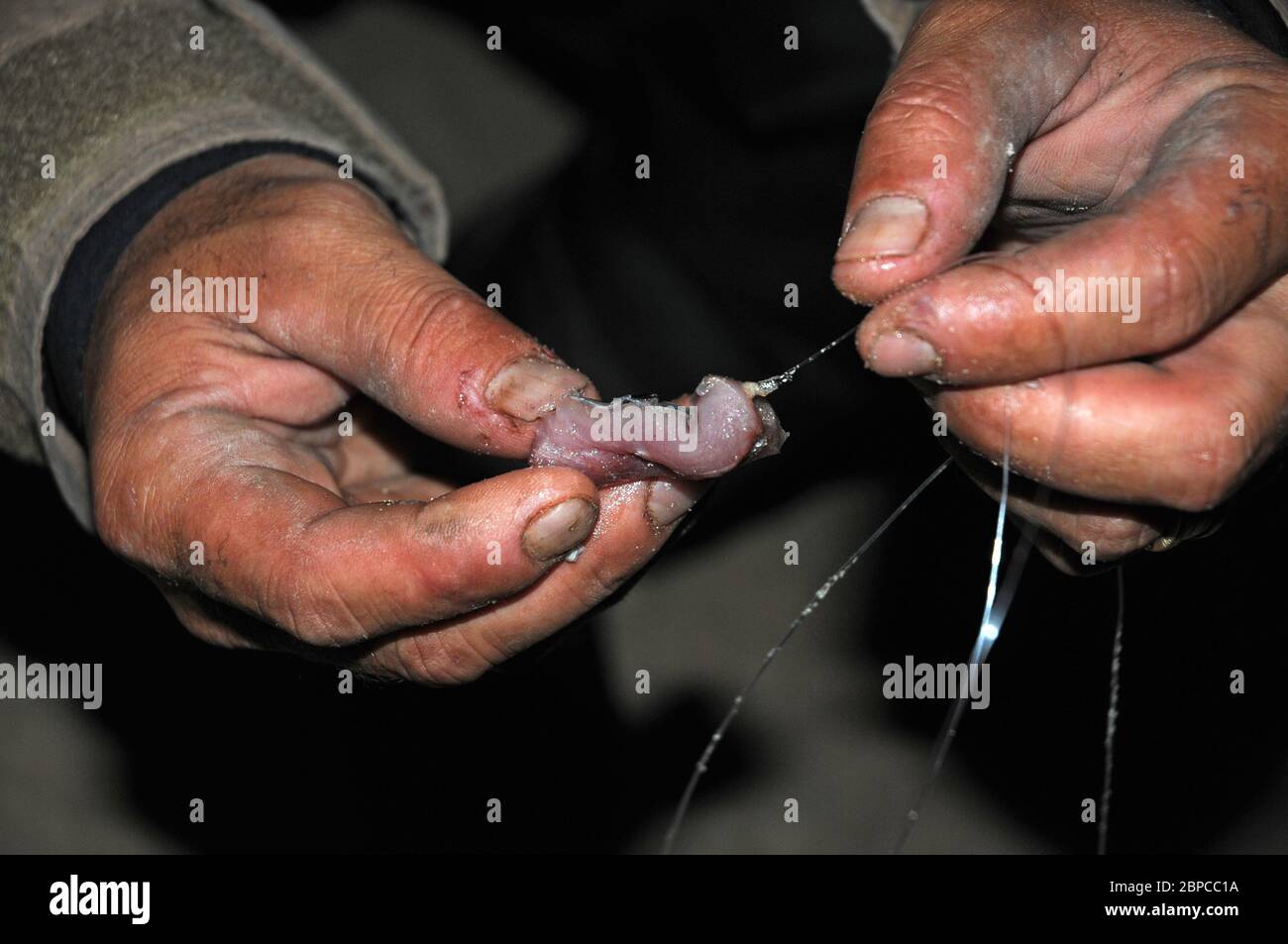 Il pescatore prepara un'esca per prendere un pesce di notte Foto Stock