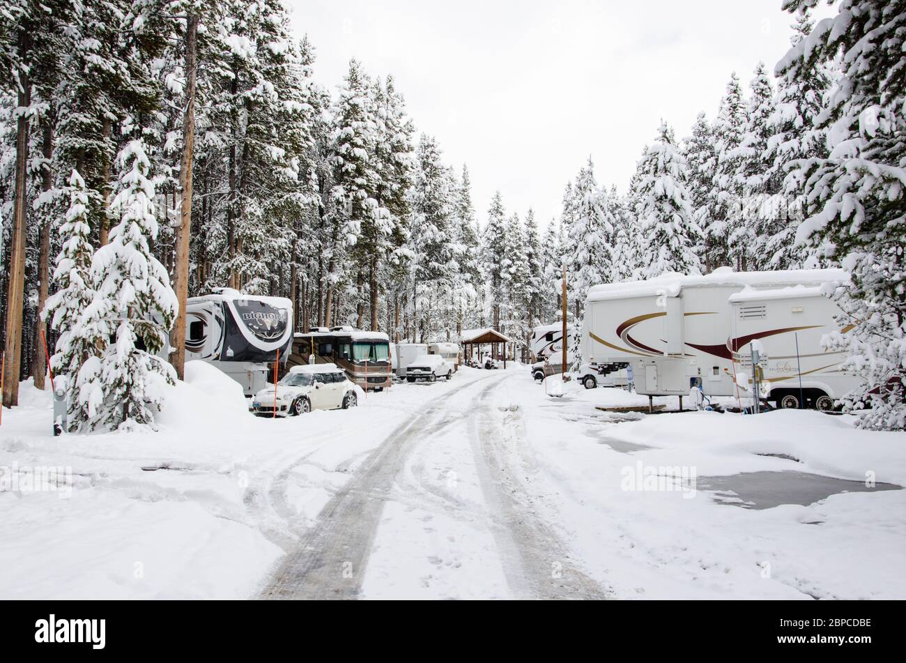 Una nevicata a metà maggio copre i camper dei dipendenti nel Parco nazionale di Yellowstone, USA Foto Stock
