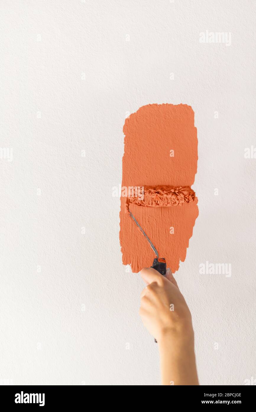 Mano umana con un piccolo rullo di vernice inizia a dipingere una parete bianca artigiano maestro artigiano formazione contrasto colore campione colore test arancione terra Foto Stock