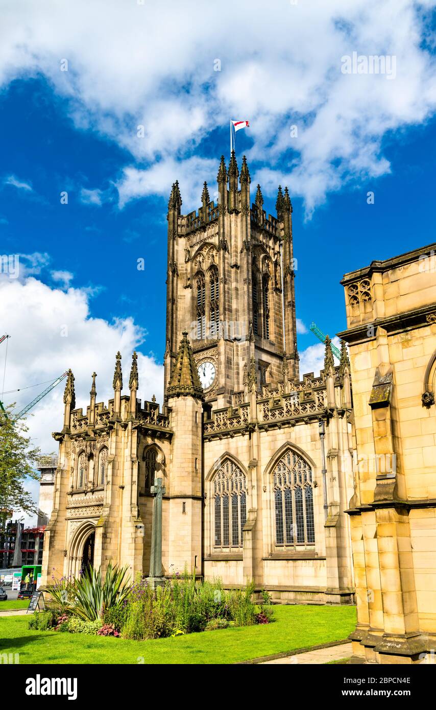 Cattedrale di Manchester in Inghilterra Foto Stock