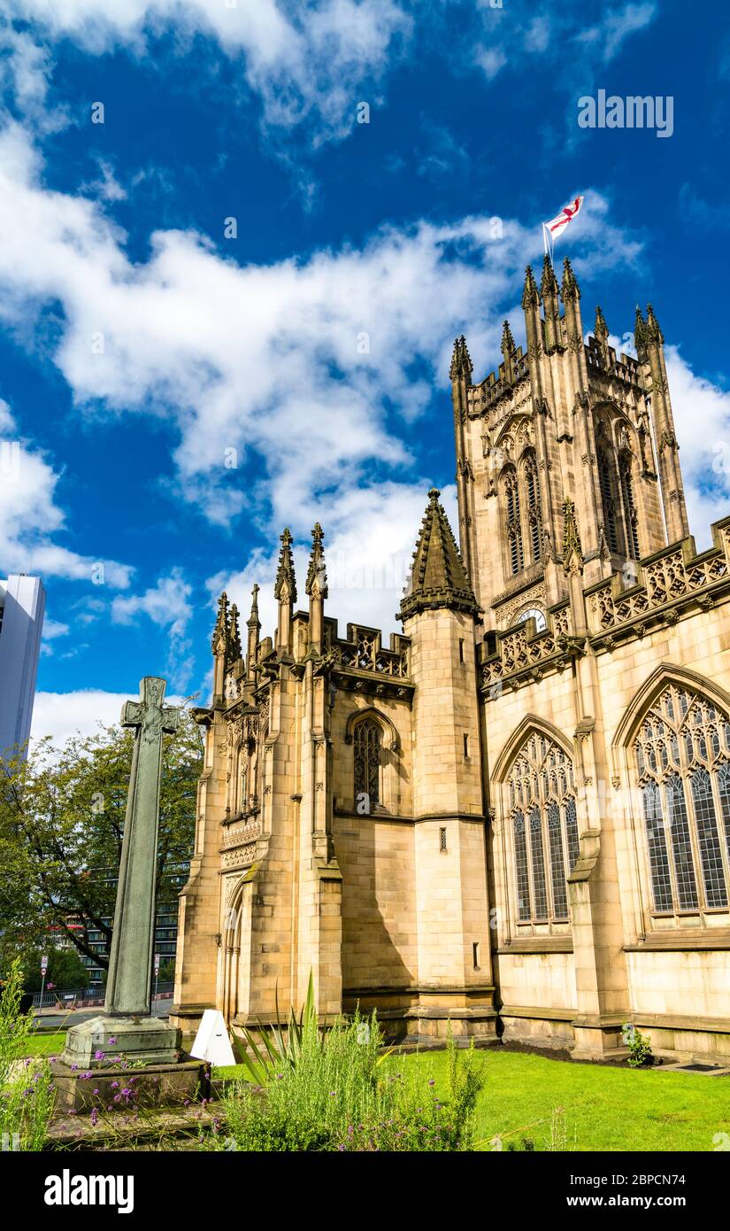 Cattedrale di Manchester in Inghilterra Foto Stock