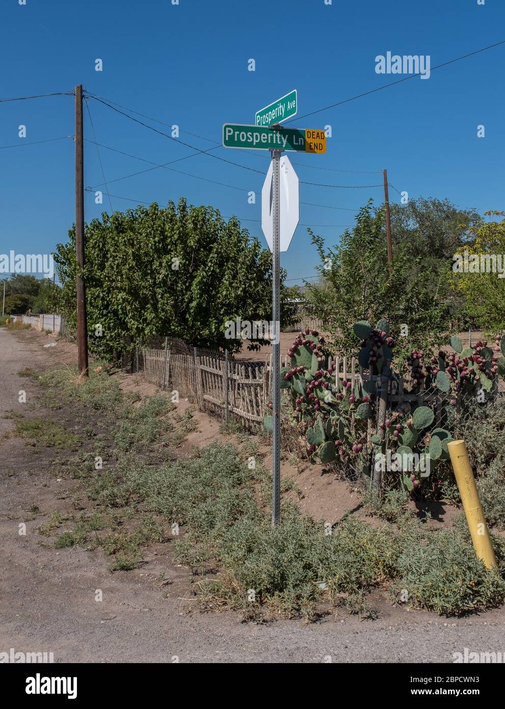 Angolo di 'Prosperity Avenue' e 'Prosperity Lane' ad Albuquerque, New Mexico Foto Stock