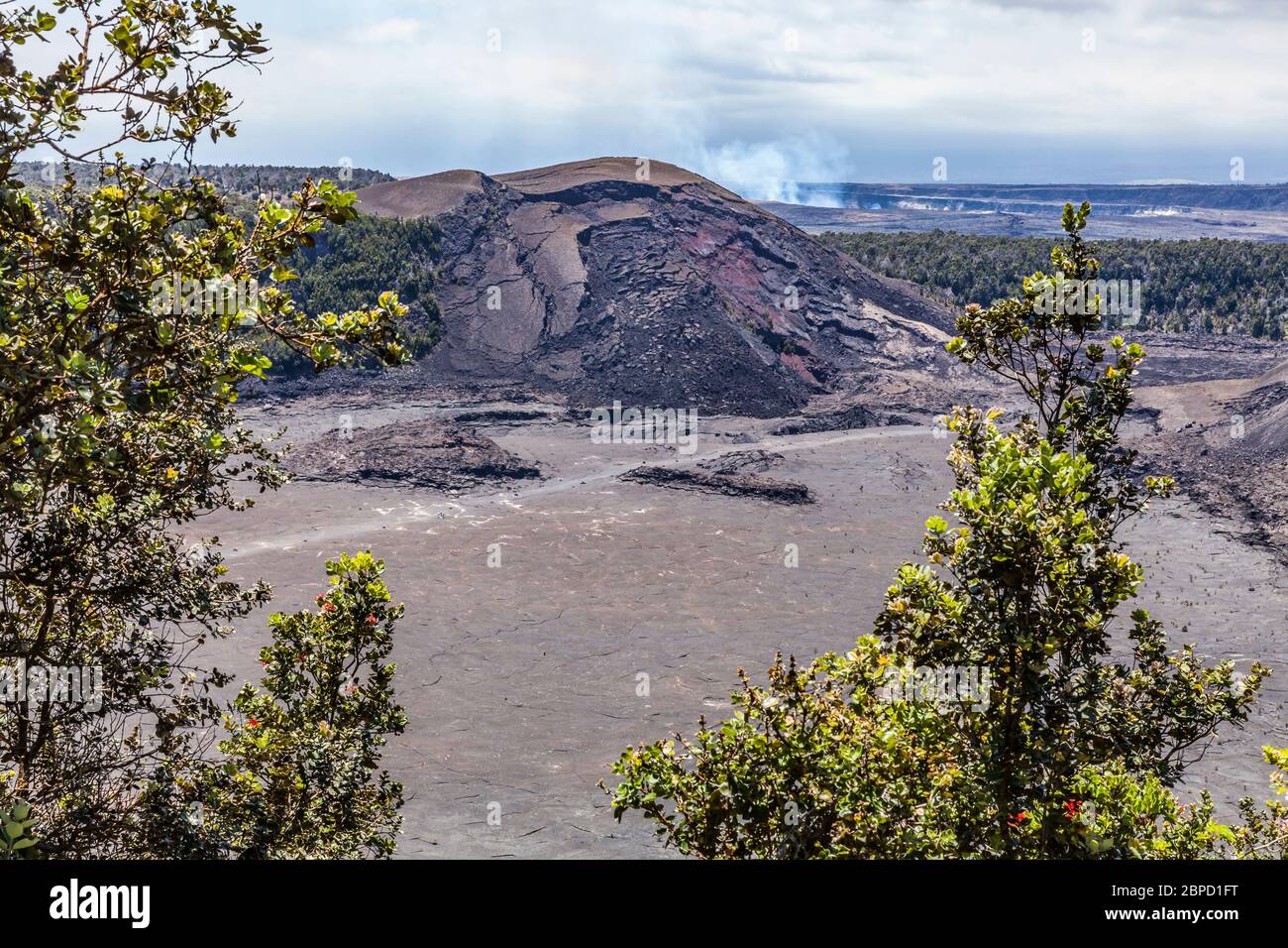 Il pavimento cratere del Kilauea Iki Crater e pu'u Puaa'i con il cratere Kilauea fumante in lontananza, 2017 come visto dal bordo cratere, Hawai'i Vol Foto Stock