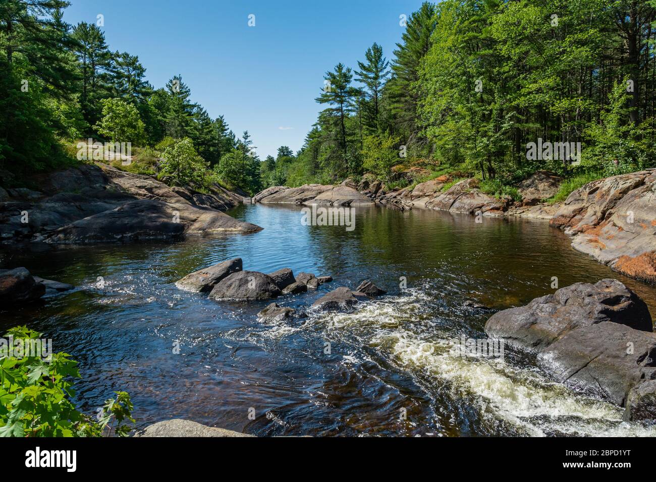 Victoria Falls Conservation Area che mostra la principale area delle cascate, due tonalità di rocce textured e la foresta verde in una giornata soleggiata estate splendida Foto Stock