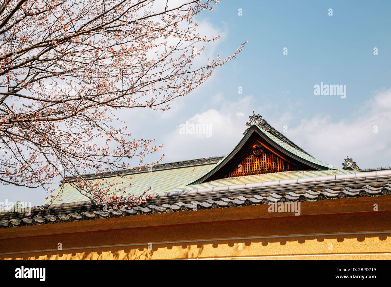 Tempio di Toshodaiji in primavera a Nara, Giappone Foto Stock