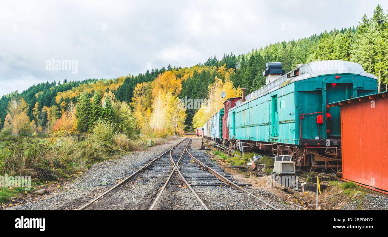 Ferrovia e treno colorato nella stagione autunnale, mt Rainier National Park area, Elba, Washington, USA. Foto Stock