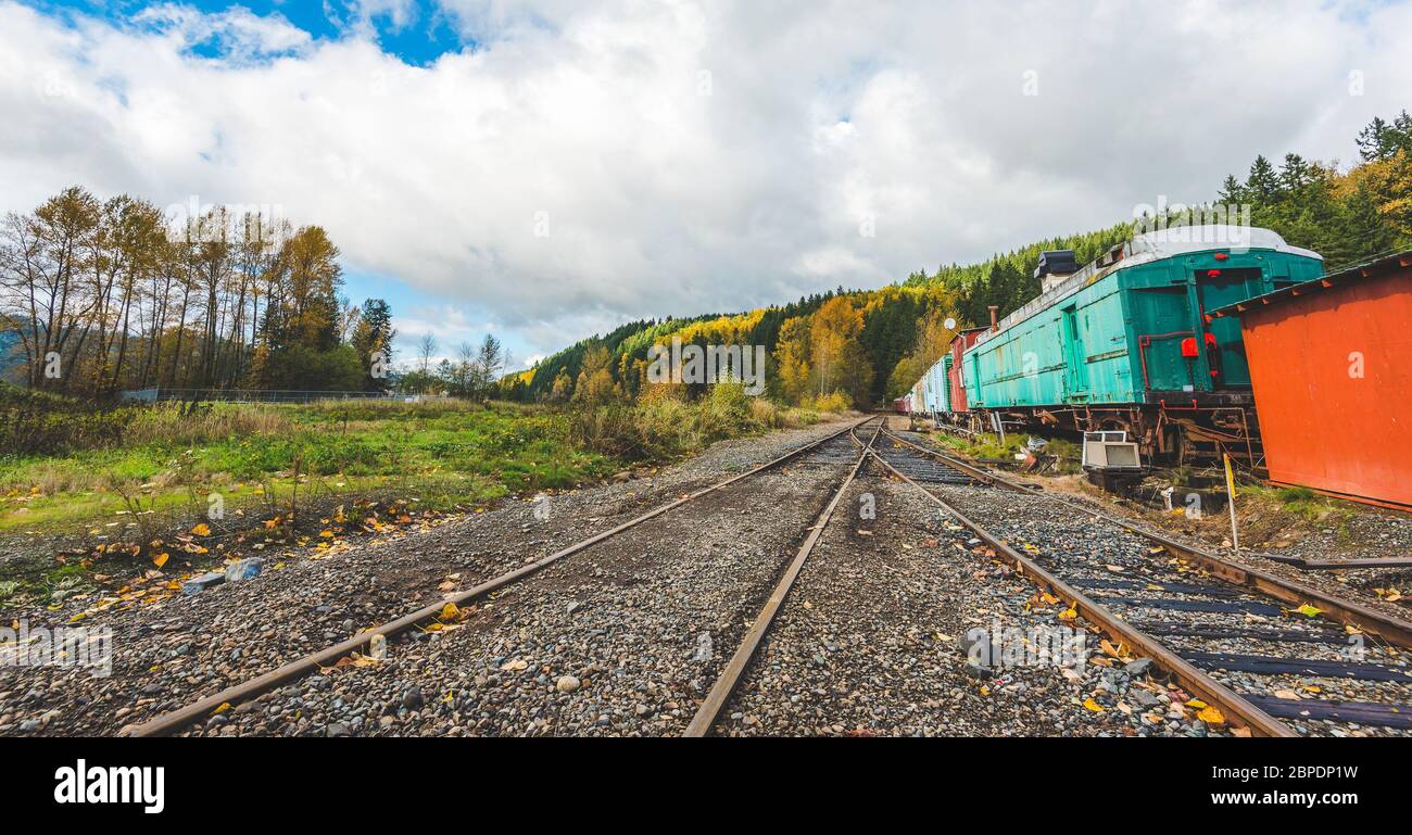 Ferrovia e treno colorato nella stagione autunnale, mt Rainier National Park area, Elba, Washington, USA. Foto Stock