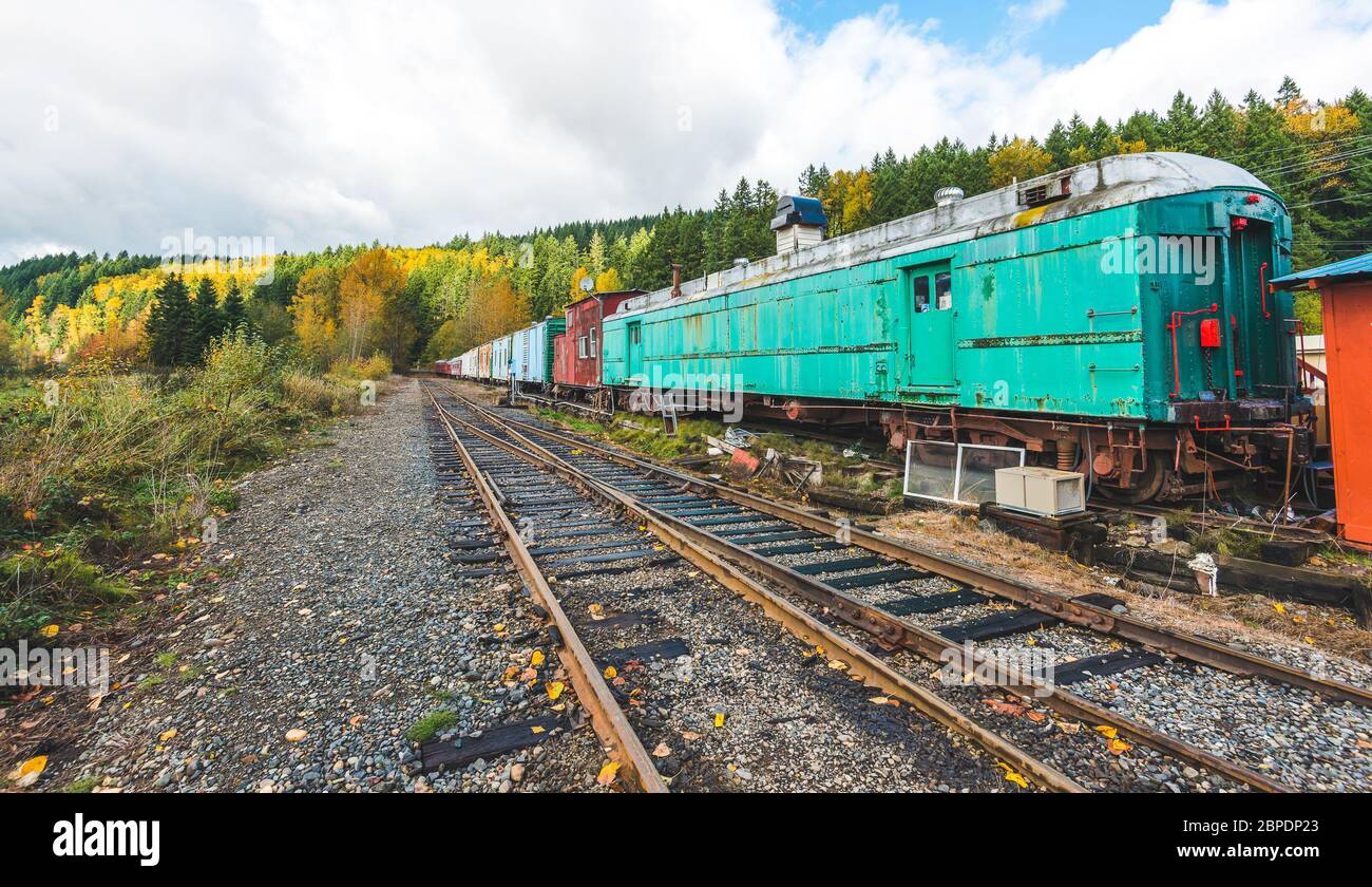 Ferrovia e treno colorato nella stagione autunnale, mt Rainier National Park area, Elba, Washington, USA. Foto Stock