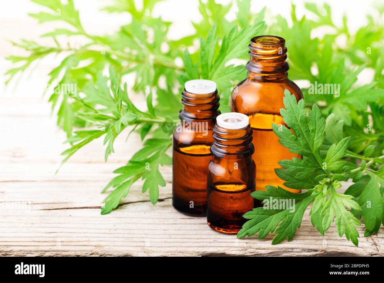 Olio essenziale di mugwort con foglie fresche sulla tavola di legno Foto Stock