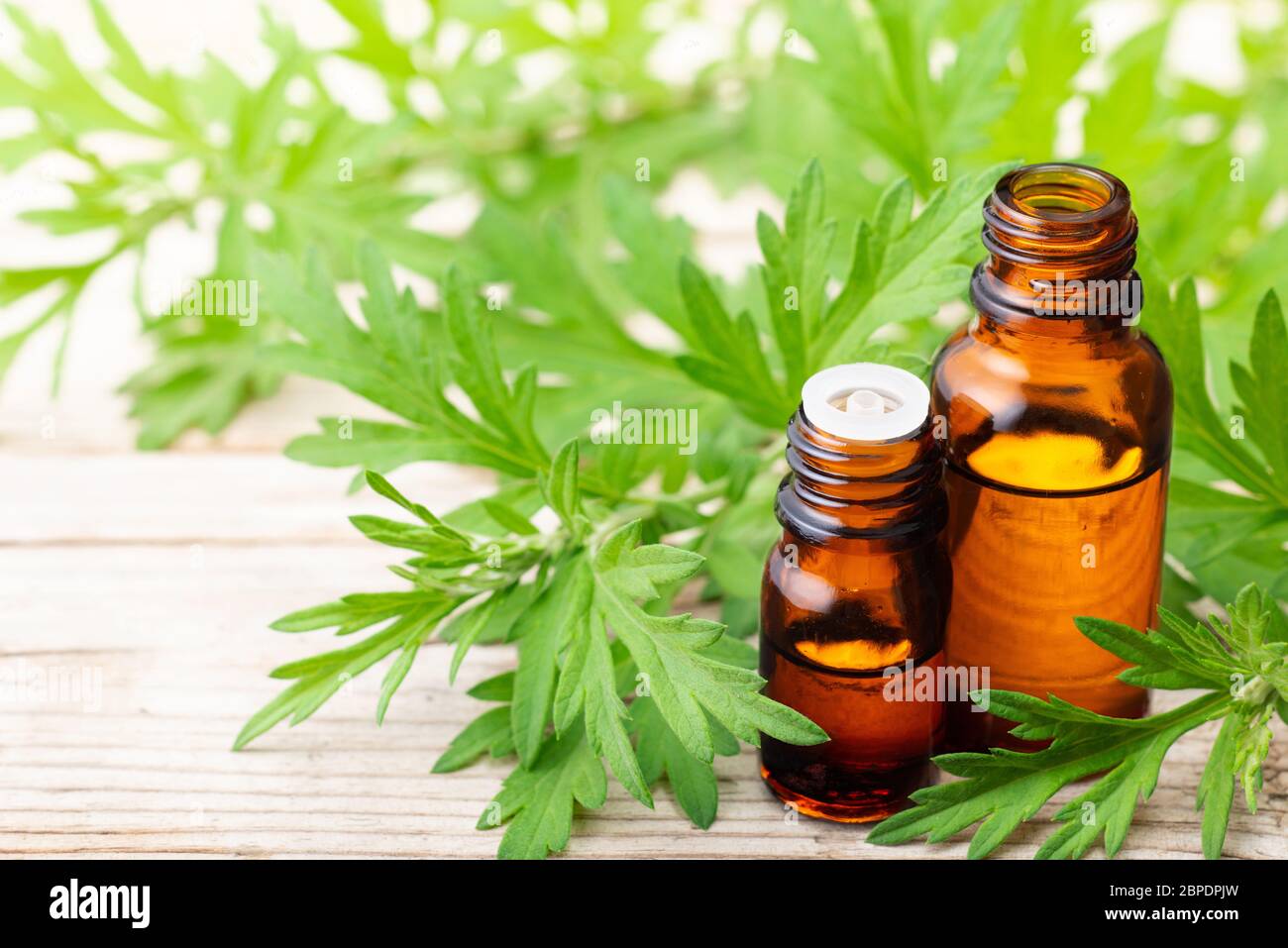 Olio essenziale di mugwort con foglie fresche sulla tavola di legno Foto Stock
