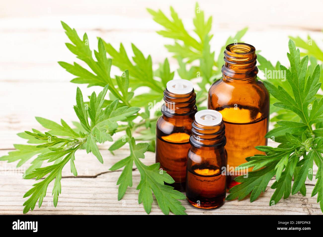 Olio essenziale di mugwort con foglie fresche sulla tavola di legno Foto Stock