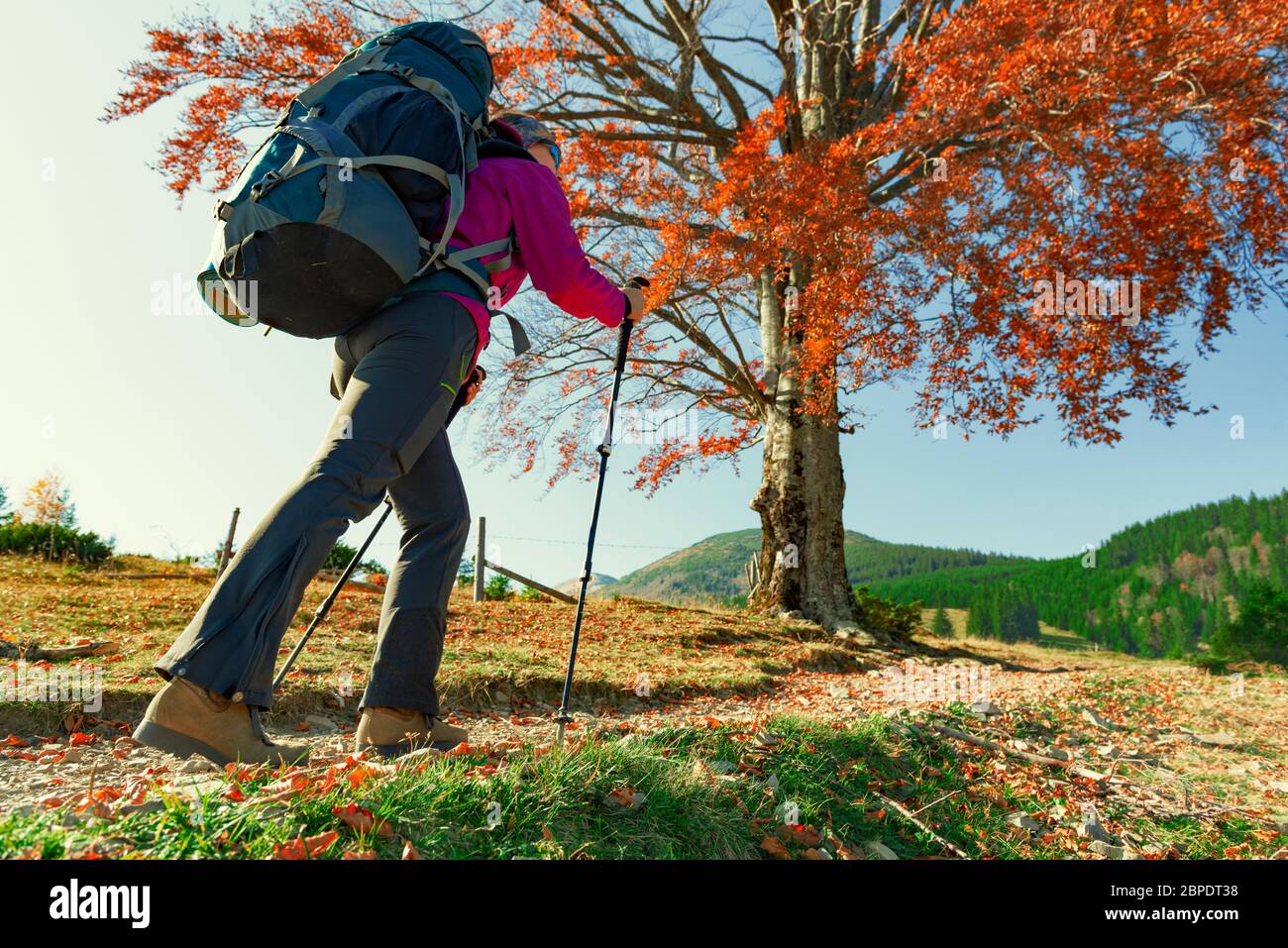 La ragazza escursionista cammina da sola su un sentiero di montagna. La distanza sociale nel wonderlust Foto Stock