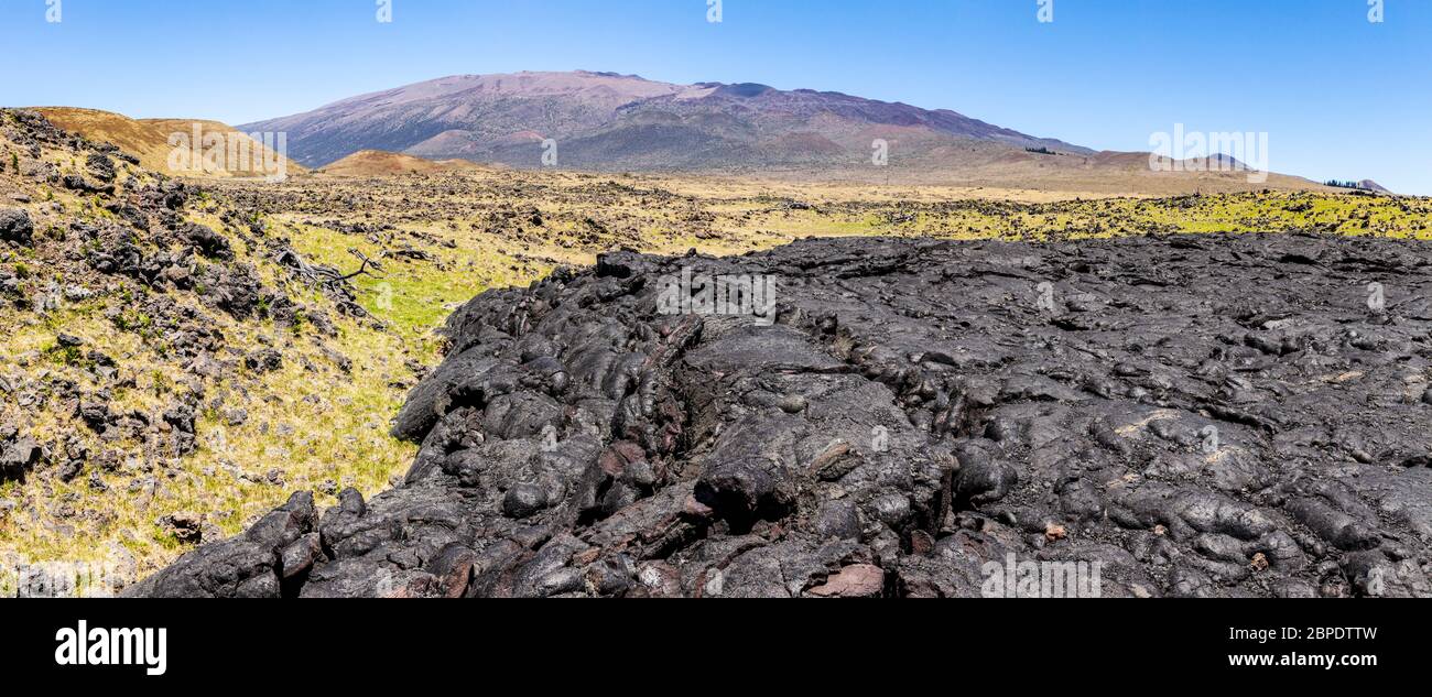 Mauna Kea e i vecchi flussi di lava fuori dalla Saddle Road Route 200 sulle Hawaii, la Big Island, Stati Uniti. Foto Stock