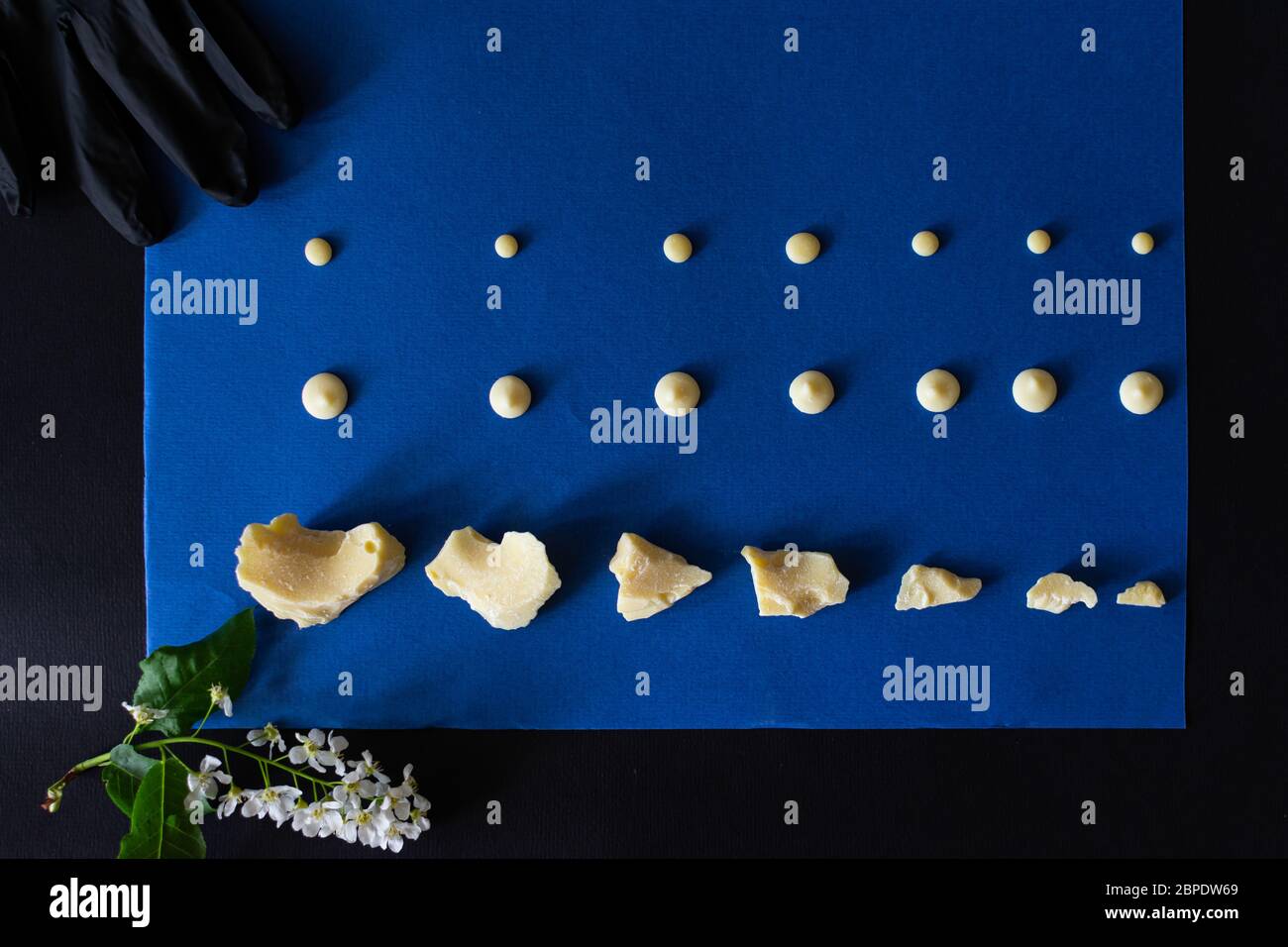Vista dall'alto di pezzi di cioccolato bianco al latte sparsi su uno sfondo blu e nero e un'acerbo di fiori bianchi di primavera. Foto Stock