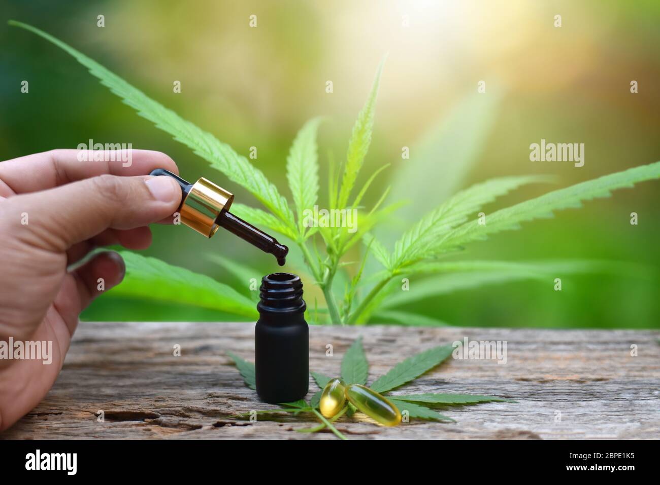 Marijuana, Cannabis, bottiglia di olio di canapa CBD. Verde natura background. Concetto di marijuana medica nel trattamento delle malattie. Affinazione dell'orlo del CBD Foto Stock