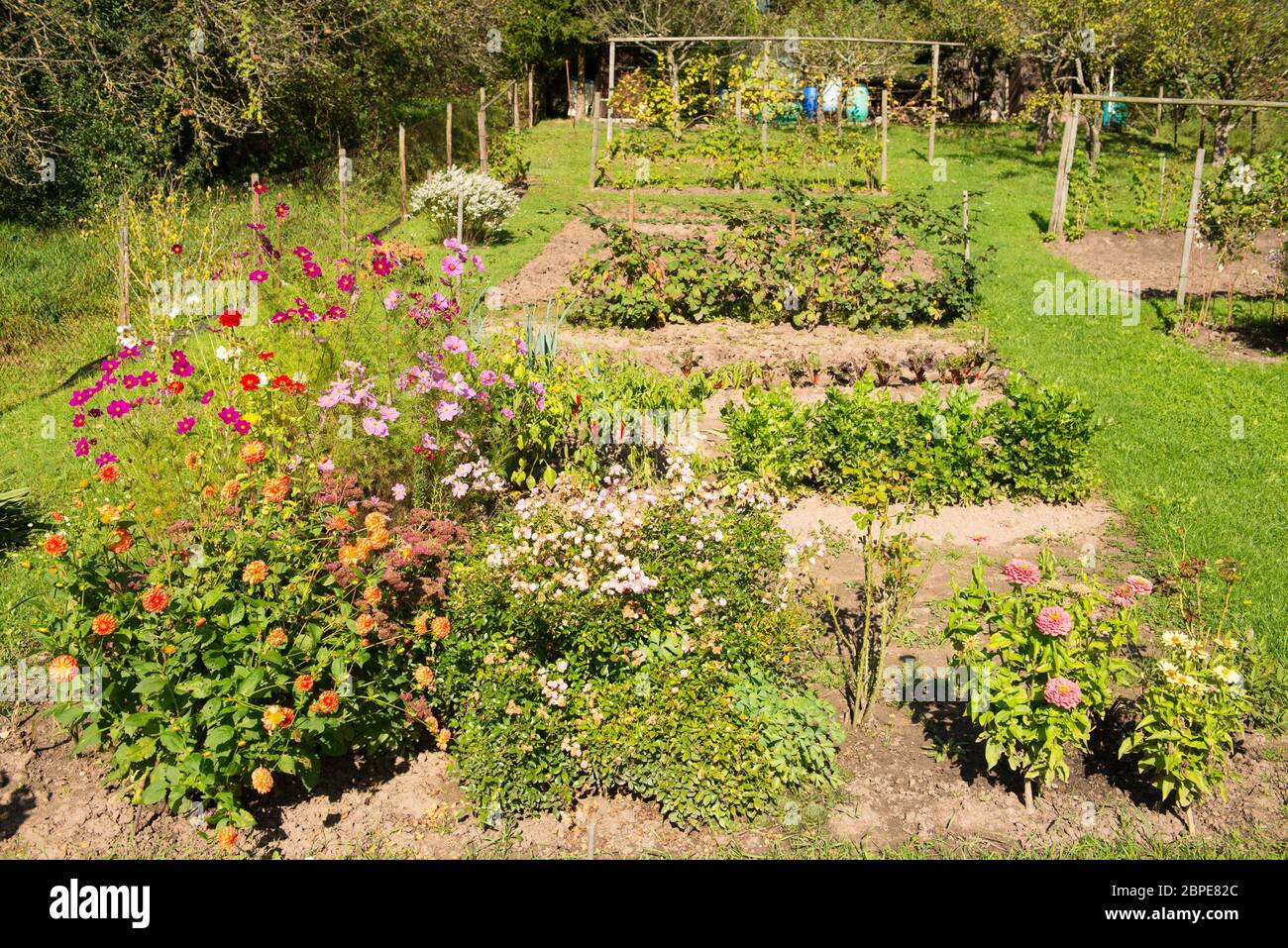 Garten mit blühenden Blumen, Gemüse und Obst Foto Stock