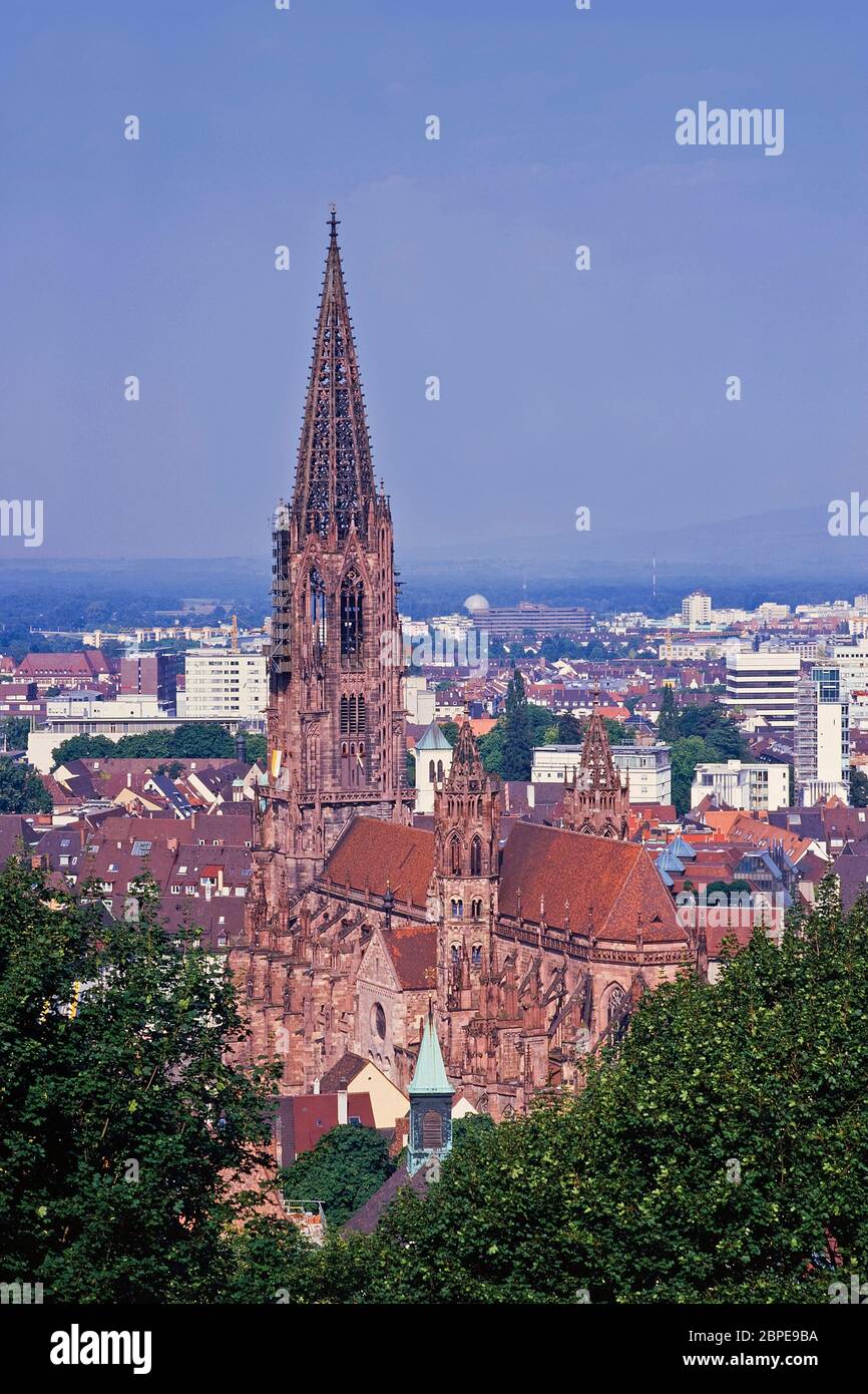 Stadtansicht mit Blick auf das Freiburger Münster, Freiburg, Badenwürttemberg Foto Stock