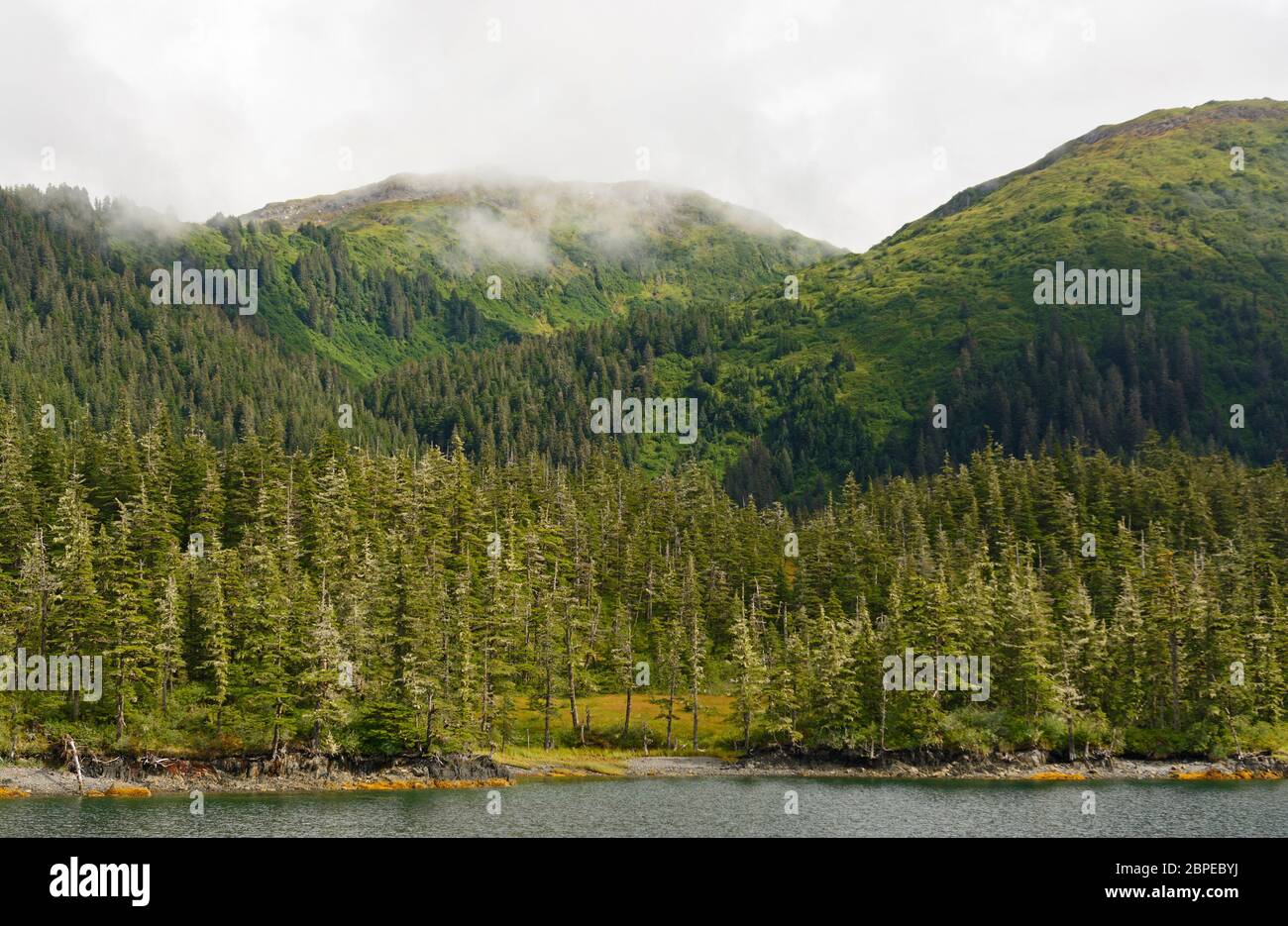 Nebbie sulla fascia costiera foresta di pioggia in Prince William Sound in Alaska Foto Stock