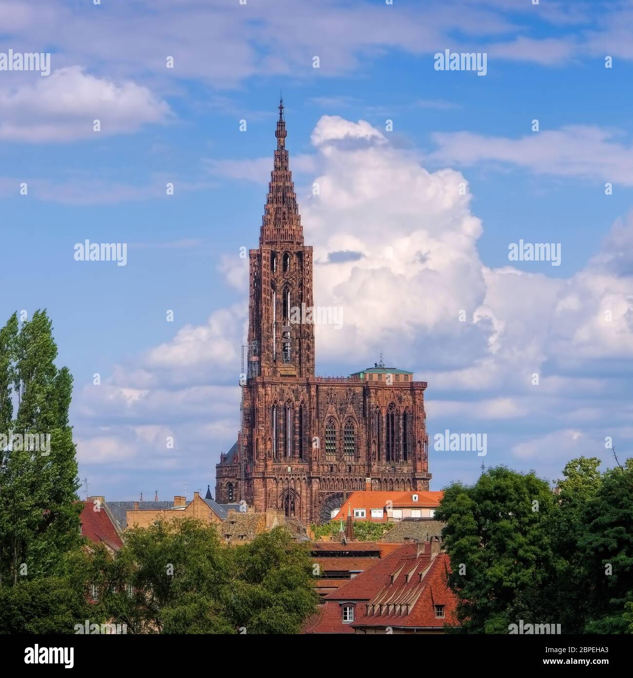 Kathedrale in Strassburg im Elsass - la cattedrale di Strasburgo in Alsazia, Francia Foto Stock