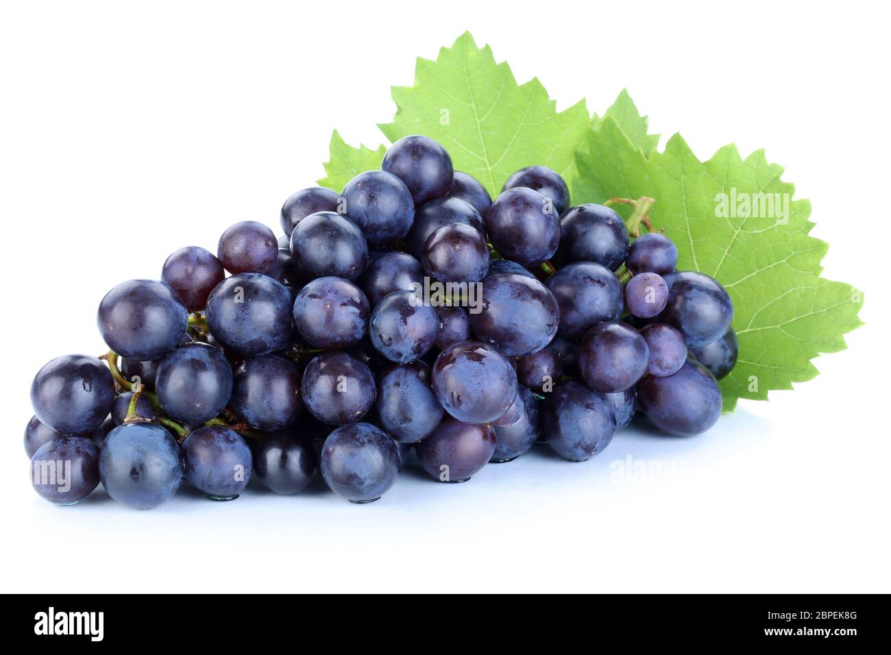Trauben Weintrauben blau Früchte Obst Freisteller freigestellt isoliert vor einem weissen Hintergrund Foto Stock