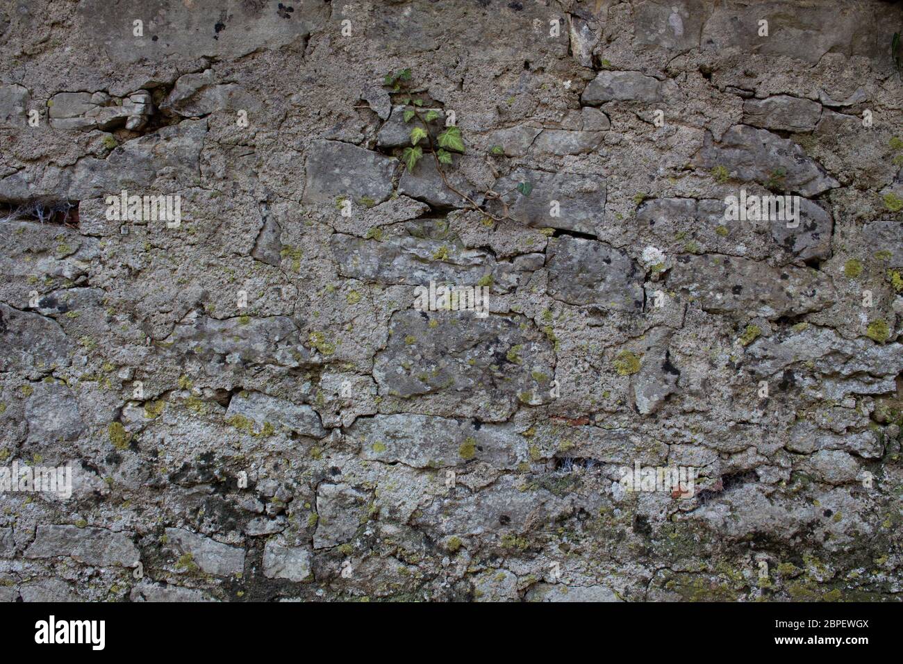 Vecchio muro di pietra naturale con piante e muschio che crescono dallo sfondo crepe Foto Stock