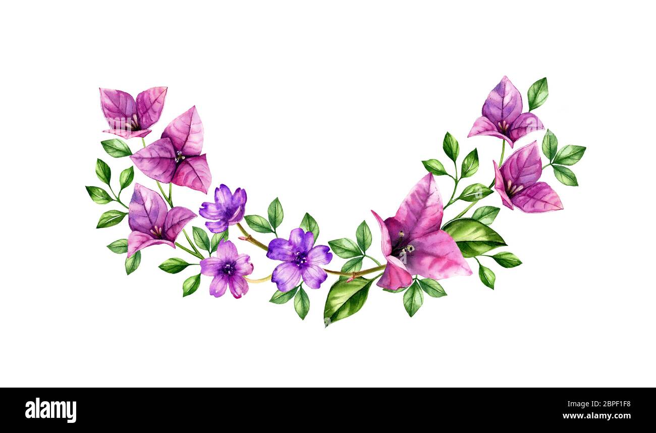 Acquerello tropicale. Branchi violetti di bouganvillea in configurazione ad arco. Sfondo tropicale dipinto a mano. Illustrazioni botaniche isolate su Foto Stock