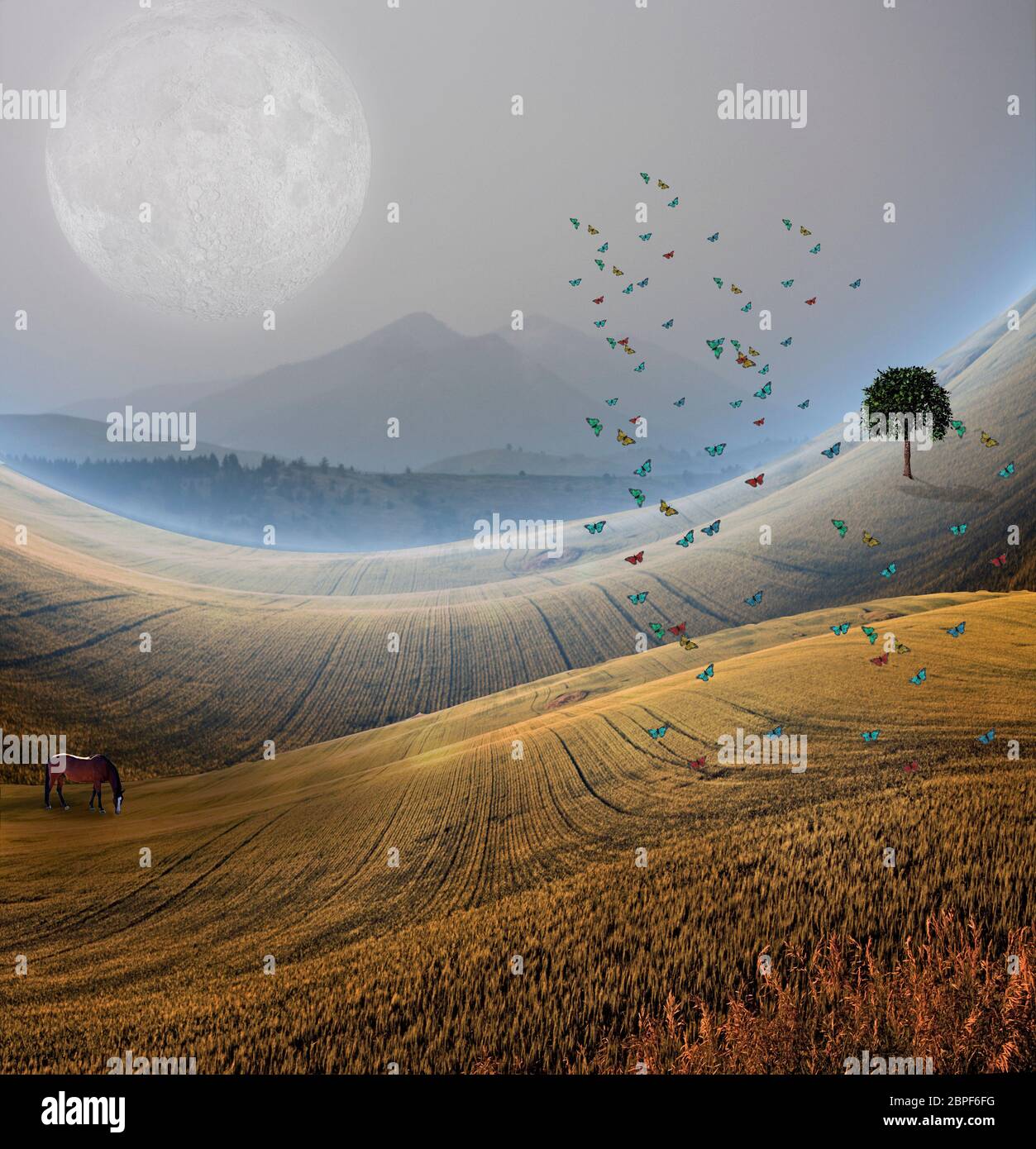 Tranquillo panorama di montagna. Cavallo al pascolo nei prati. Foto Stock